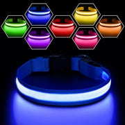 Blue Color Rechargeable LED Dog Safety Collar – 8 Light Modes