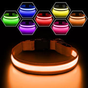Orange Color Rechargeable LED Dog Safety Collar – 8 Light Modes