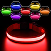 Red Color Rechargeable LED Dog Safety Collar – 8 Light Modes