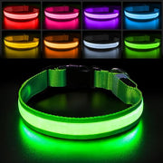 Green Color Rechargeable LED Dog Safety Collar – 8 Light Modes
