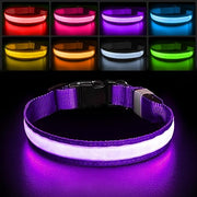 Purple Color Rechargeable LED Dog Safety Collar – 8 Light Modes