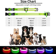 Rechargeable LED Dog Safety Collar – 8 Light Modes