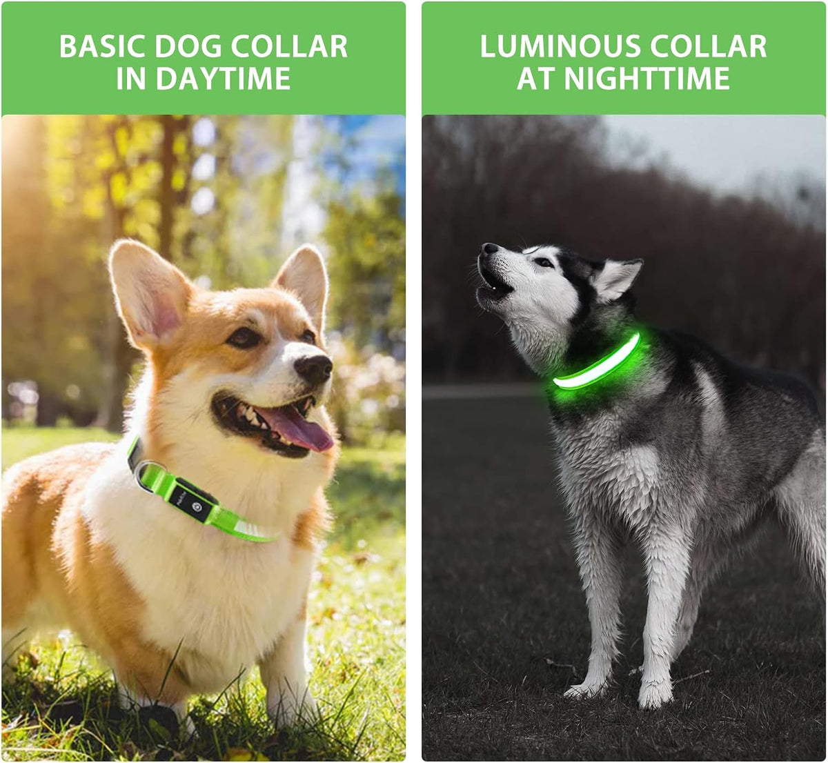 Rechargeable LED Dog Safety Collar – 8 Light Modes