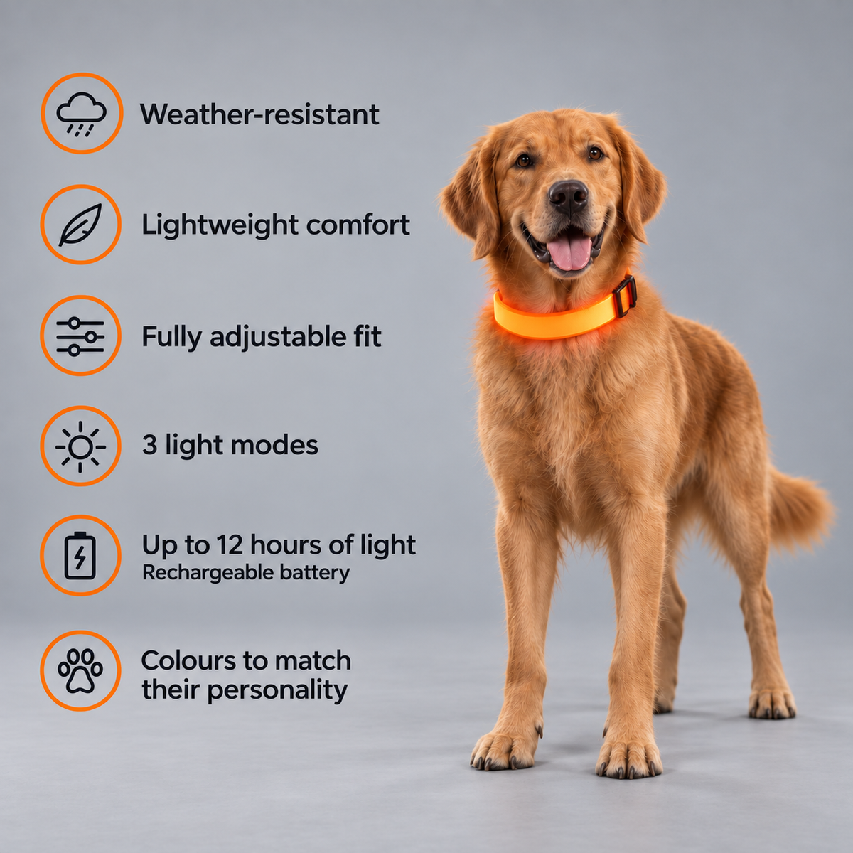 illumi Led Dog Collar