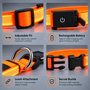 illumi Led Dog Collar