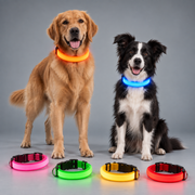 illumi Led Dog Collar