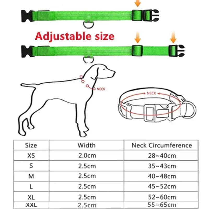 illumi LED Dog Collar