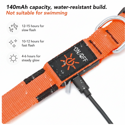 illumi LED Dog Collar