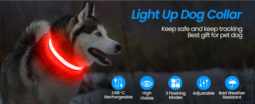illumipup LED Dog Collar