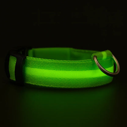 illumi LED Dog Collar