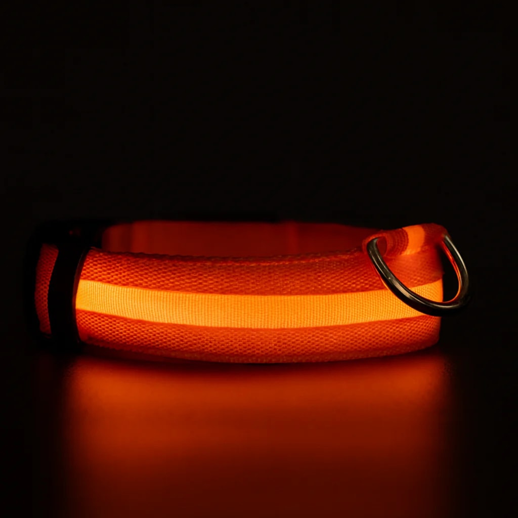 illumi LED Dog Collar