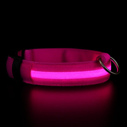 illumi LED Dog Collar
