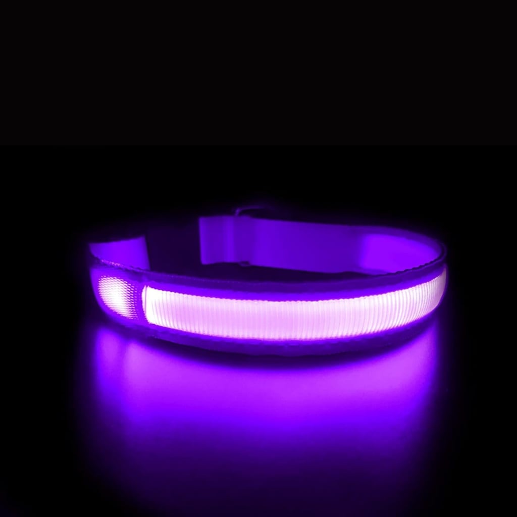 illumi LED Dog Collar