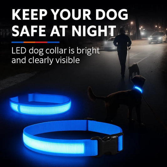 illumi LED Dog Collar